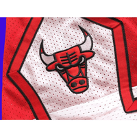 Chicago Bulls Utah Jazz Nba Shorts