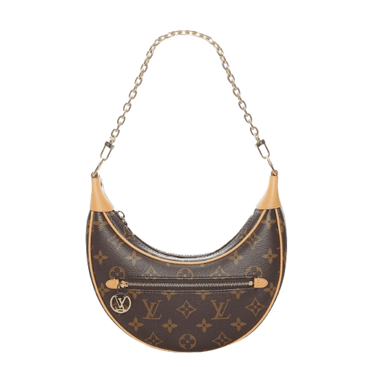 Louis Vuitton Monogram Loop shoulder bag