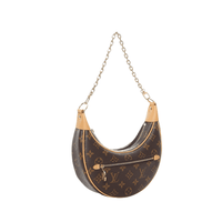 Louis Vuitton Monogram Loop shoulder bag